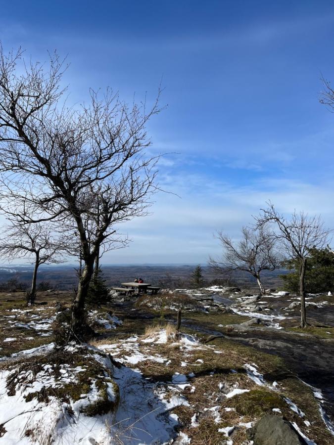 U Vaclava Bed & Breakfast Hřensko Екстериор снимка
